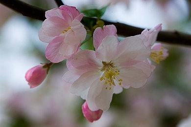 太空射击游戏《永恒空间2》主机版发售预告 现已加入XGP